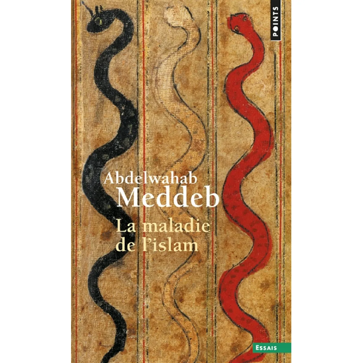 La maladie de l'islam · Occasion