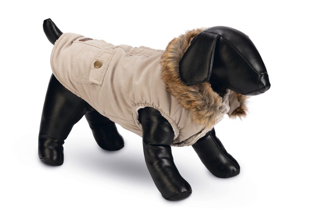 Designed by Lotte Philos - Hondenjas - beige - 2XS