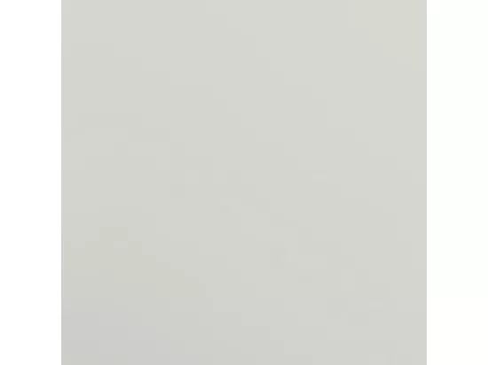 Armoire de bureau avec 2 portes Gris 90 cm Acier