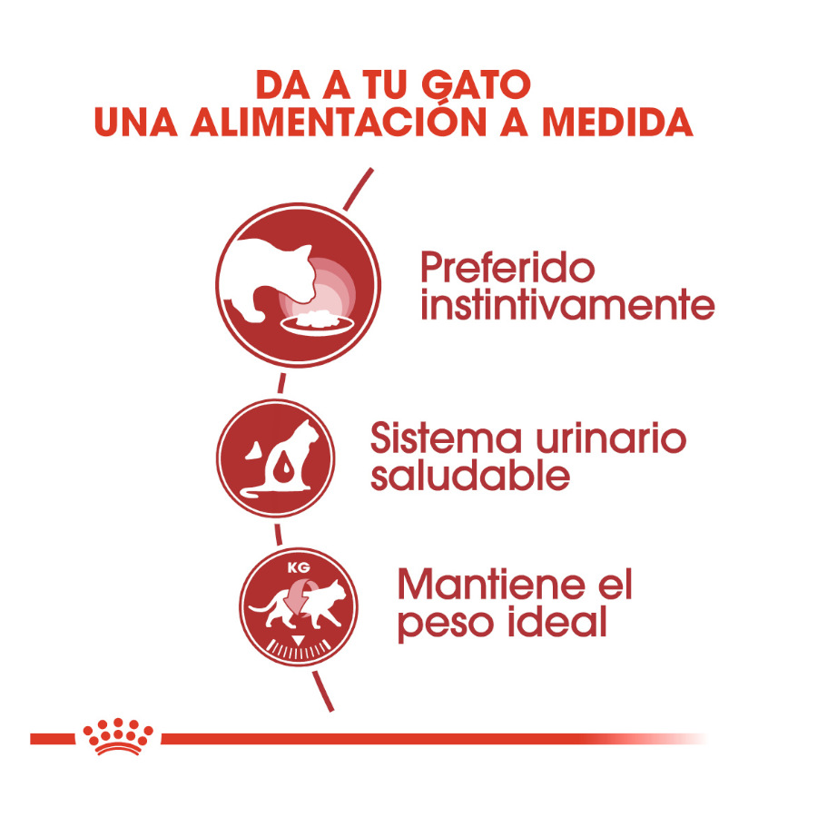 Sachês Royal Canin Instinctive em molho para gatos