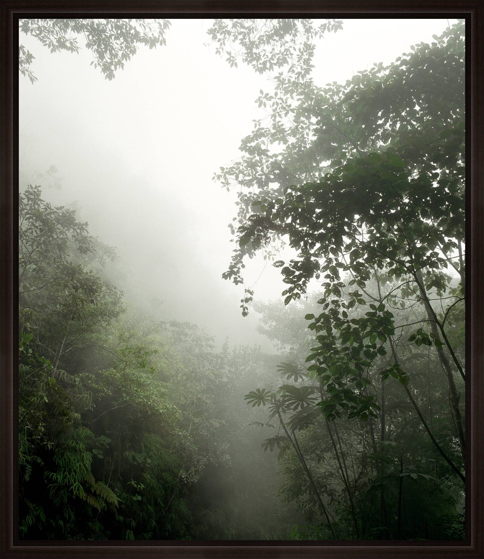 O.T. (Eldorado III) by Stephanie Kloss - Limited Edition. Edition of: 100. Signed.
