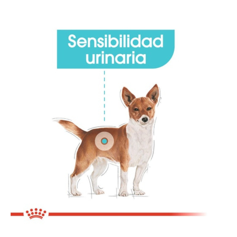 Ração Royal Canin Urinary Care Mini para cães