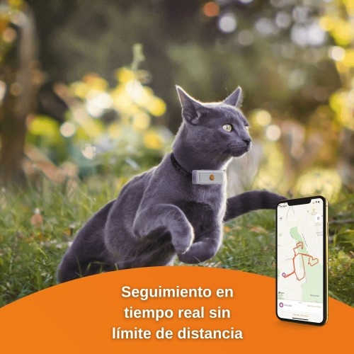 Rastreador GPS Weenect Cats² para gatos