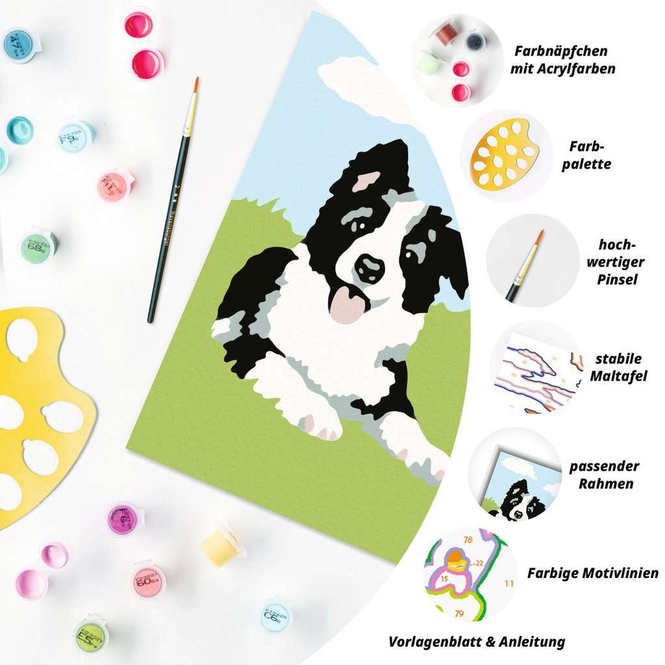 Malen nach Zahlen - Border Collie Welpe
