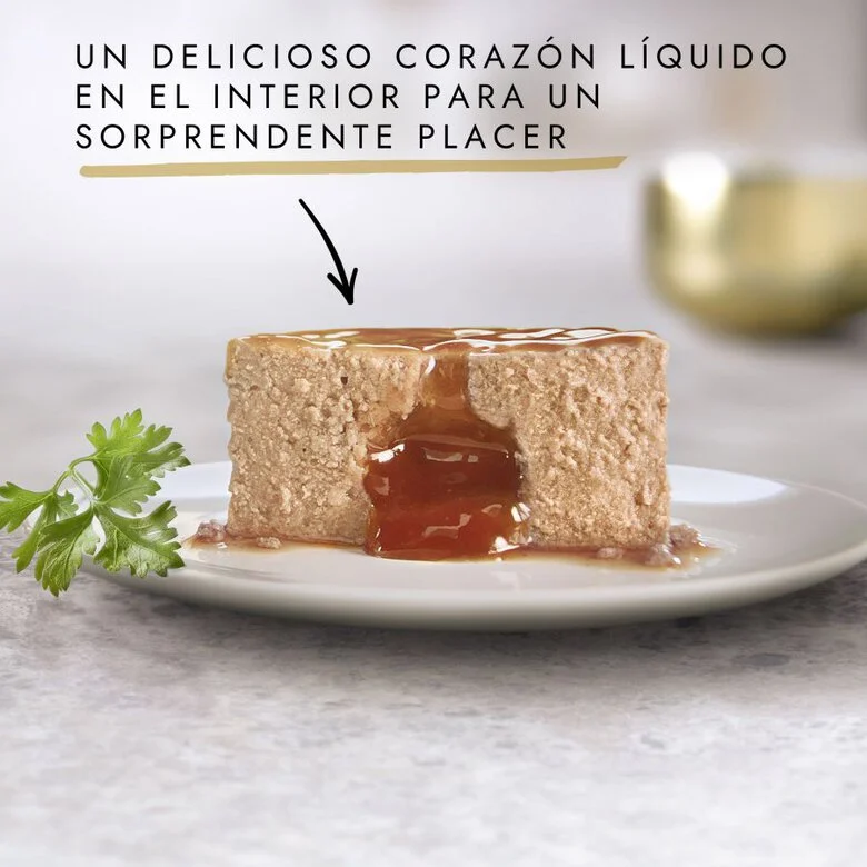 Fondant Gourmet Dourado com Atum em Lata de Patê para Gatos