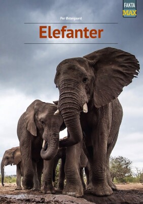 Elefanter - Per Østergaard - Bog