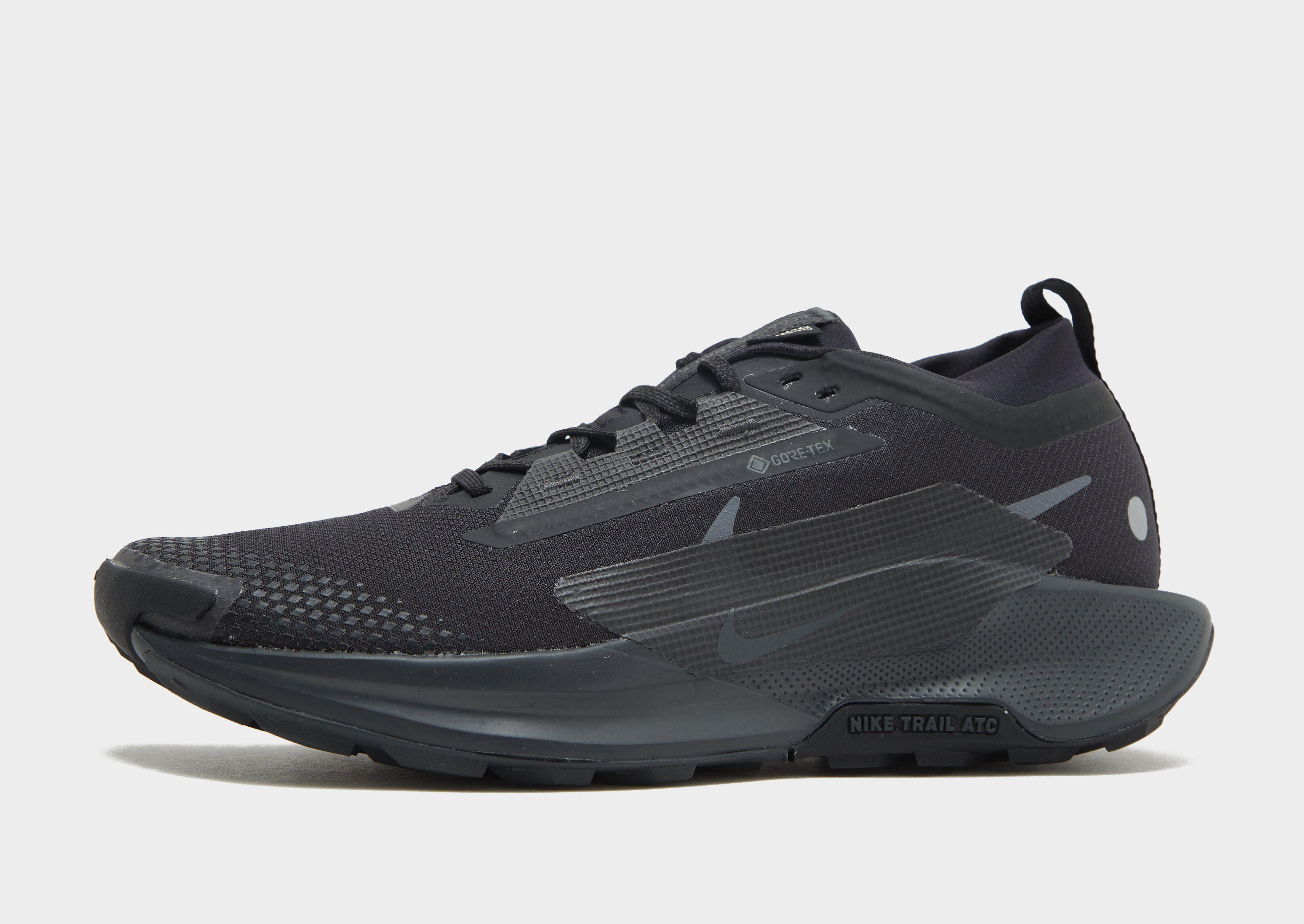 Nike Pegasus Trail 5 GORE-TEX Homme