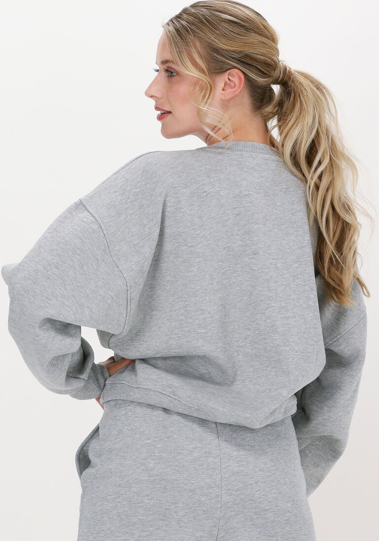 GESTUZ lichtgrijze gestuz trui rubigz sweatshirt