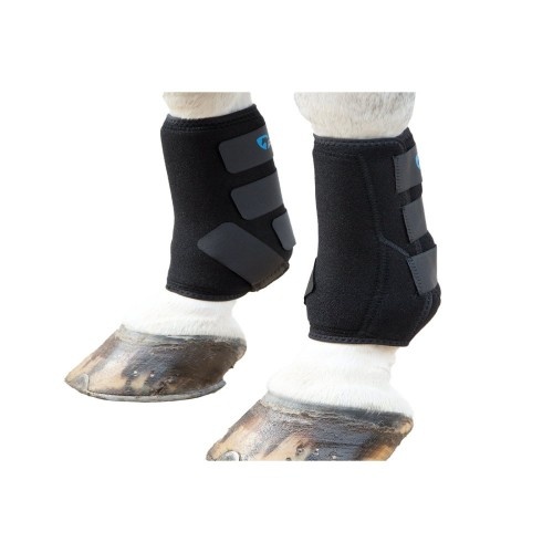 Botas esportivas ARMA de neoprene preto para cavalos