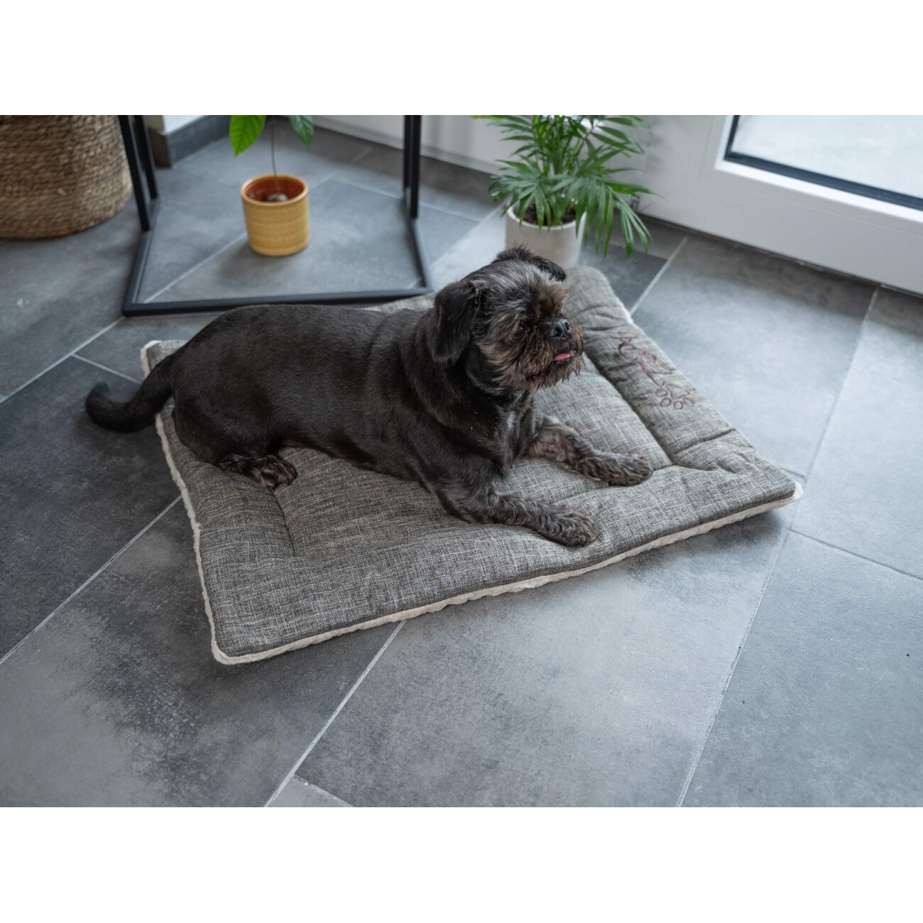 TrendPet Heaven gefütterte Liegedecke beige XS