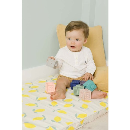 Mes premiers cubes éducatifs - BABYTOLOVE