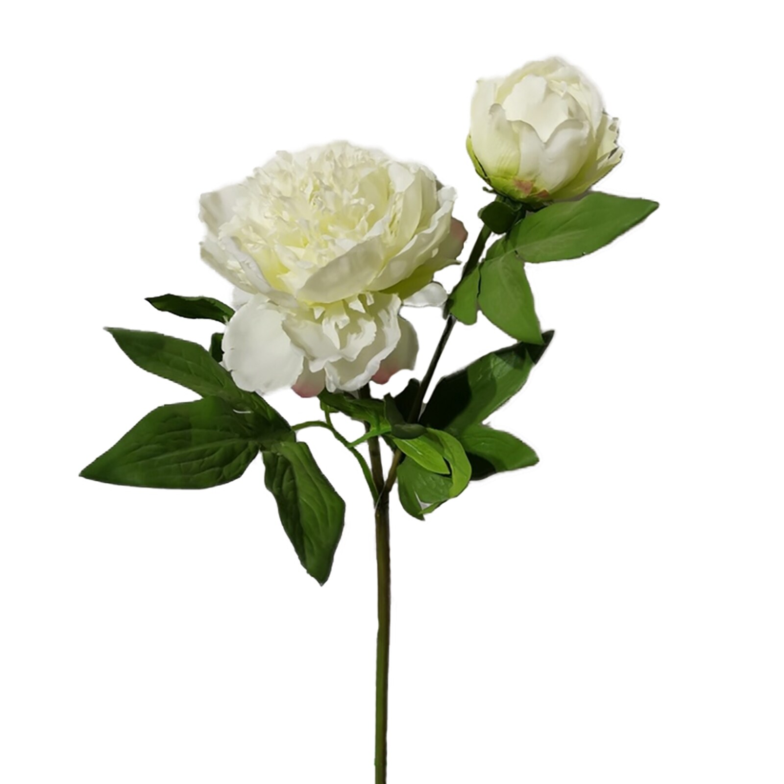 HTI-Living Pfingstrose 23 cm Kunstblume Flora