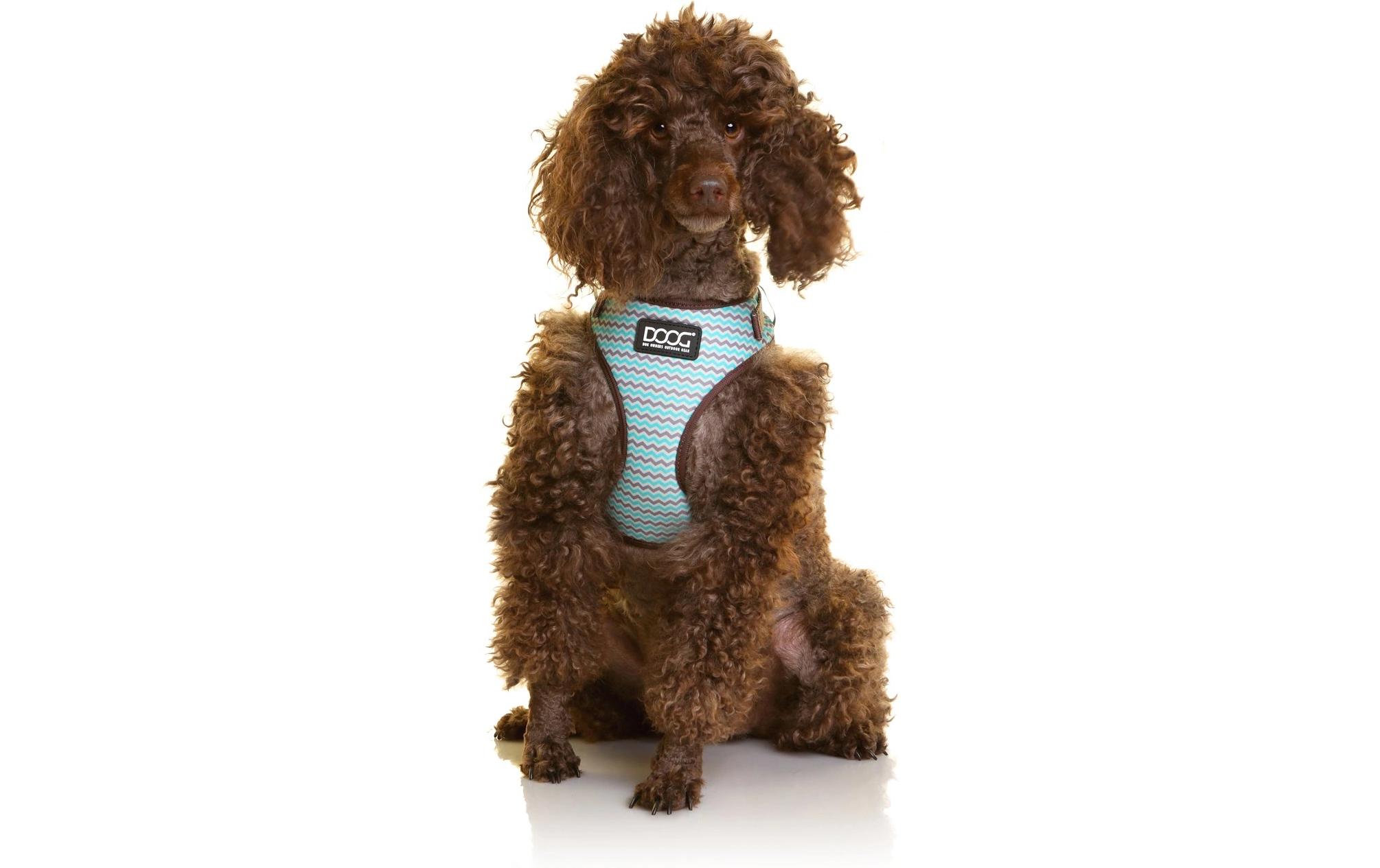 Geschirr Neoflex Benji XS Braun / BlauNeopren-Softgeschirr für kleine bis mittelgrosse Hunde