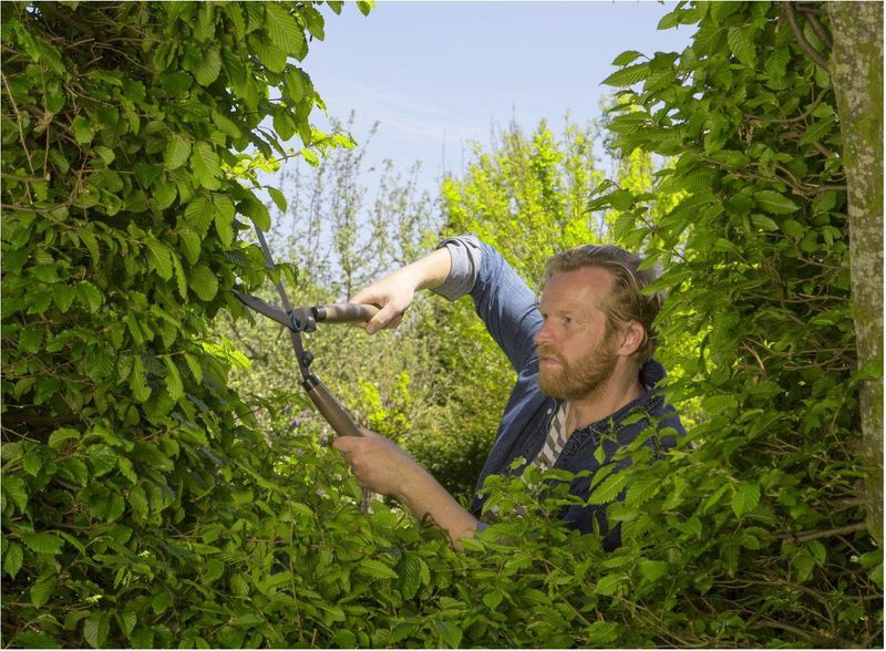 Gardena - Naturecut - Takkenschaar - Hout - Ergonomisch