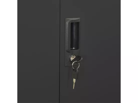 Armoire de bureau Anthracite 90x40x180 Acier 2