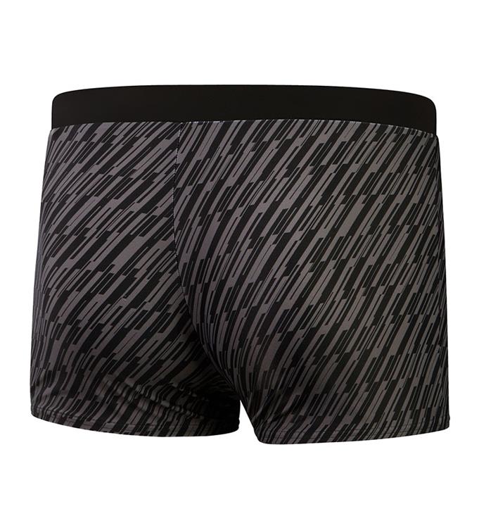 Speedo men ECO Valmilton Lines Aqua Zwemboxer