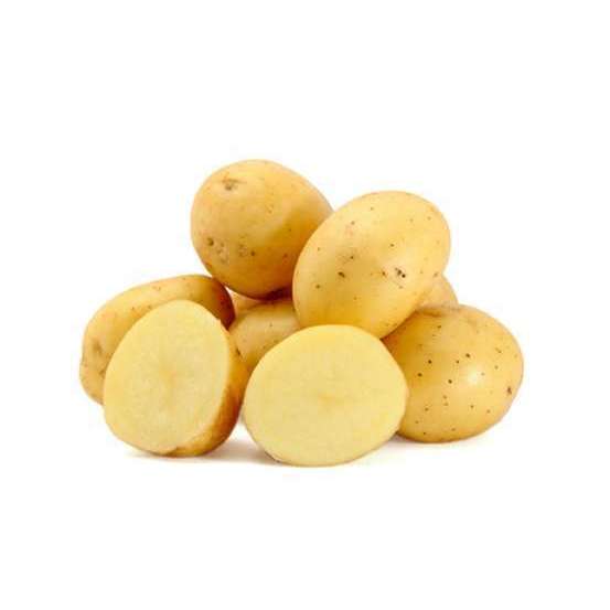 Plants de pommes de terre 'Bintje' en sac - 1,5 kg