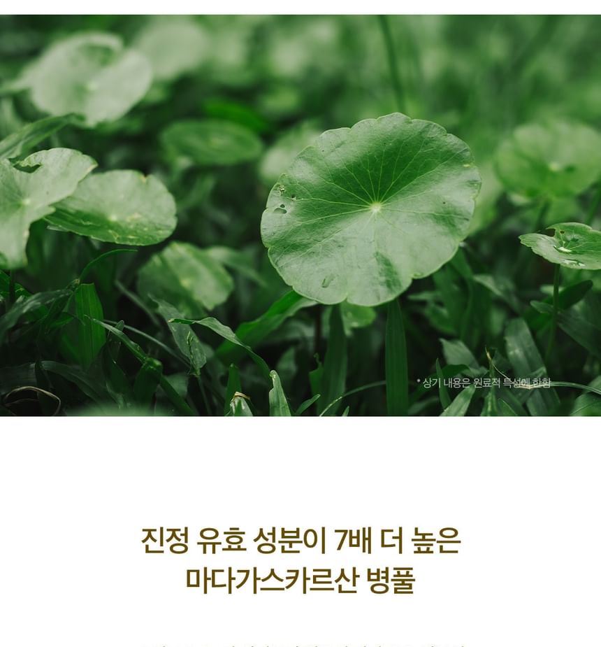 SKIN 1004 - Madagascar Centella ampulkit