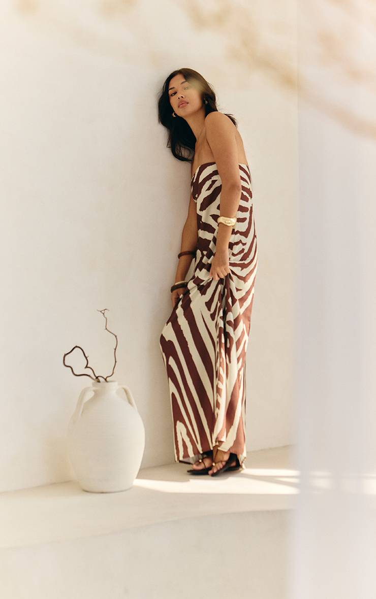 Marron Robe Longue Bandeau Tissée À Imprimé Zèbre Abstrait