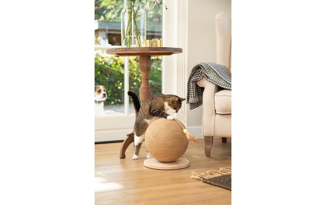 Designed By Lotte Kratzkugel »Designed by Lotte Holz Kratzball Balty«