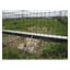 Gjerdenetting 30x1,52 m