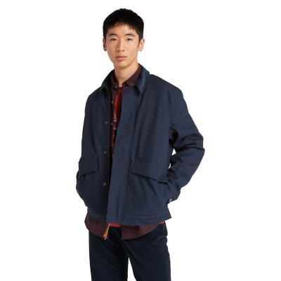 Blouson homme Strafford Insulated TIMBERLAND