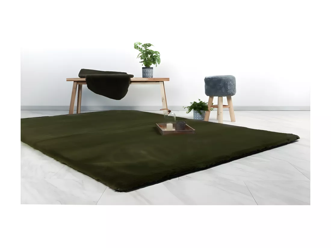 Tapis 170x120cm, design H008N coloris vert basilic - Confort et élégance pour votre intérieur