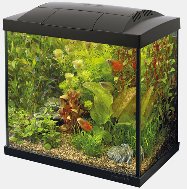 Superfish Start 50 Tropical Kit Zwart