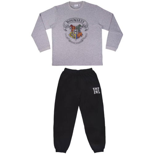 Harry Potter - 2200006498 Gris