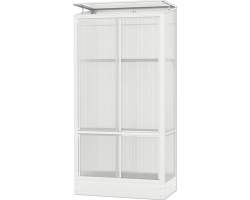 Vitavia Polis kas, 4 mm dubbelwandige polycarbonaat panelen, inclusief stalen fundering, 81 x 42,8 cm, zilver