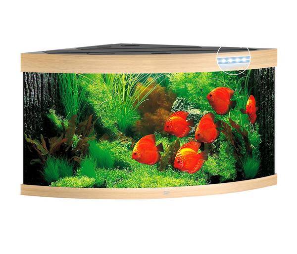 JUWEL® AQUARIUM Trigon 350 LED