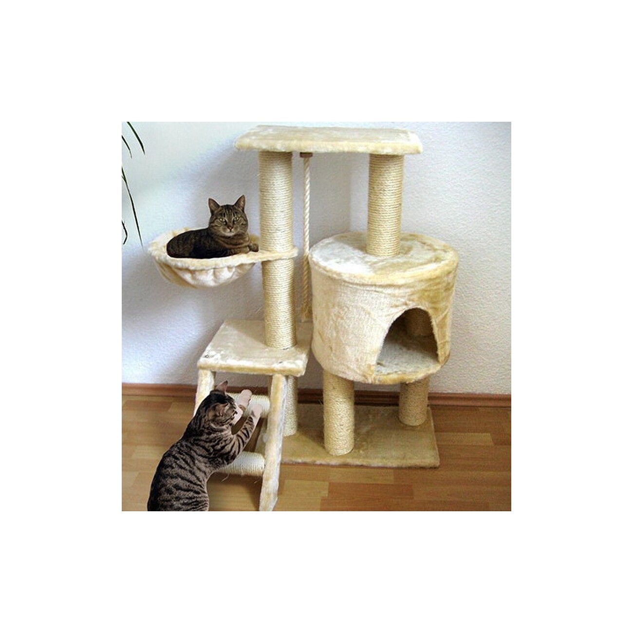 Rohrschneider ® Kratzbaum Jack