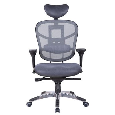 Fauteuil de bureau TECKNET - accoudoirs réglables - appuie-tête réglable - Gris