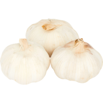 Jumbo Knoflook 100 g