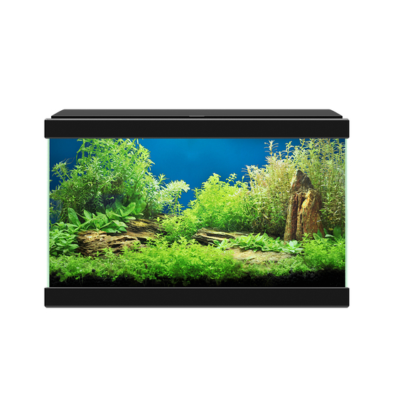 Aquarium Aqua 20 Led noir L.40 x l.20 x H.26 cm