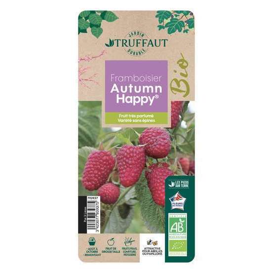 Framboisier Autumn Happy® 'Malling Happy' : pot de 3 litres