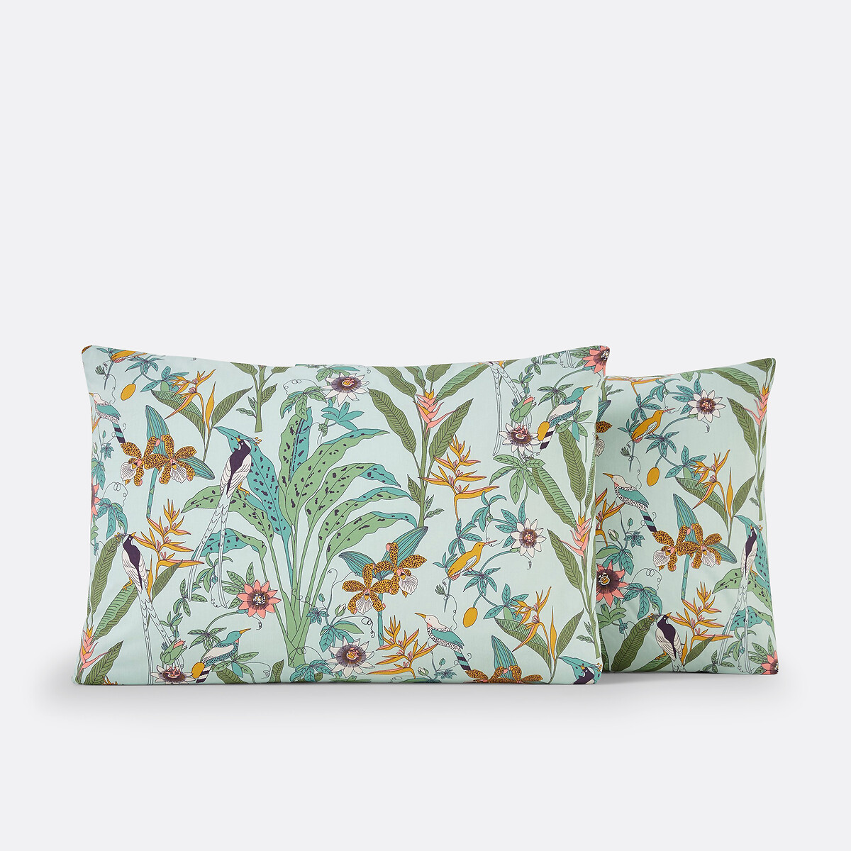 LA REDOUTE INTERIEURS<br>Fronha de almofada em algodão percal, Eden Flower