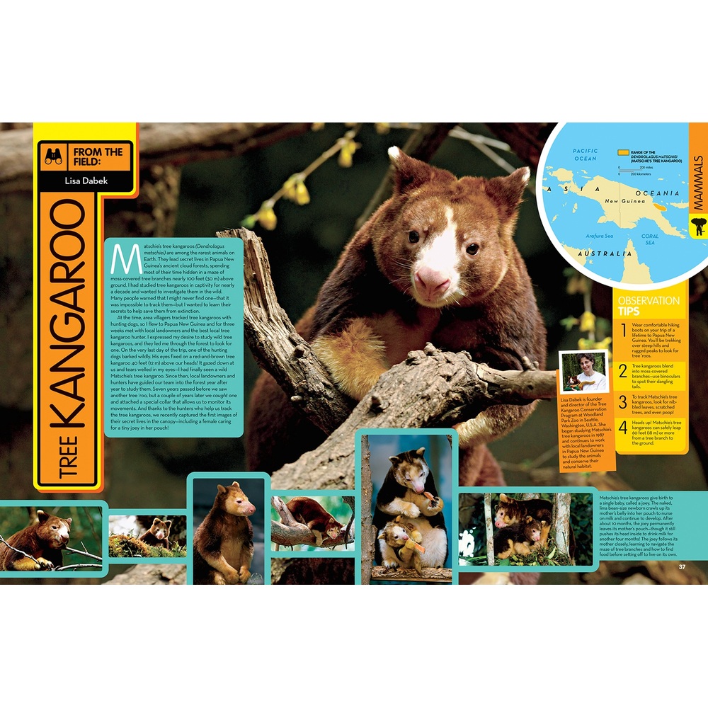 National Geographic Tier-Enzyklopädie (Hardcover-Sortiment)