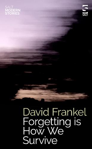 Forgetting is How We Survive - Salt Modern Stories (Paperback)