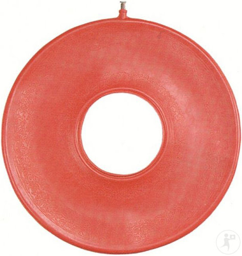 SealProtect Coussin Annulaire Gonflable 46cm 1 Pièce