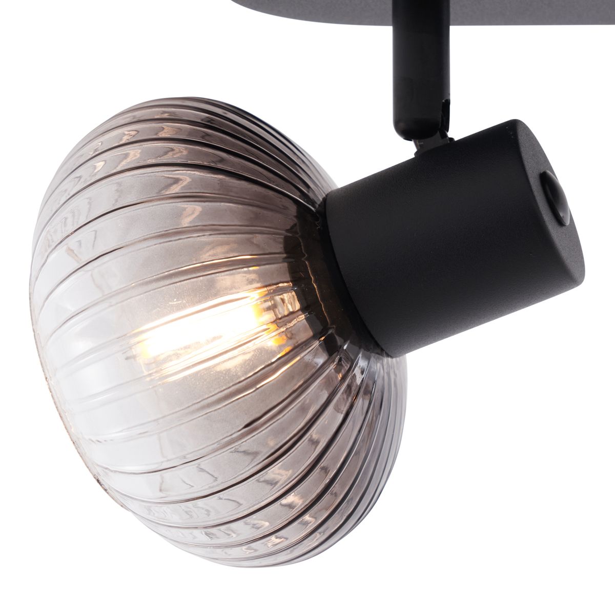 Afgeronde plafondspot zwart met smoke glas 2-lichts - Teddy