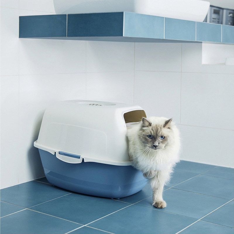 Rotho Bailey - Kattenbak - Blauw/Zand