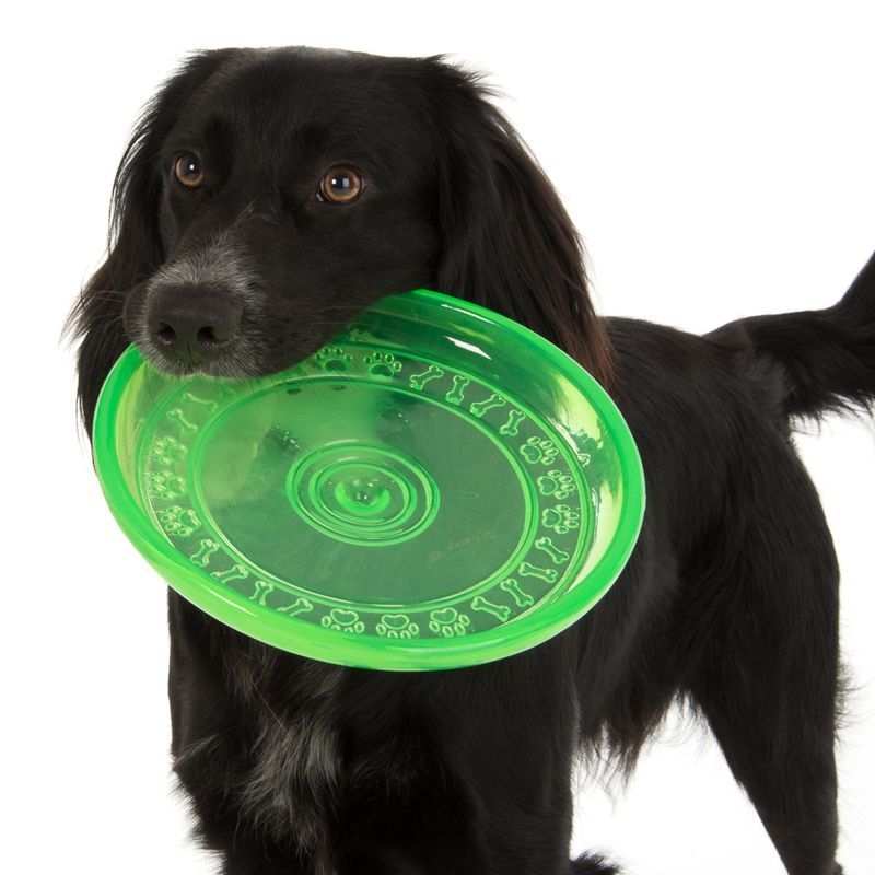 Frisbee en TPR