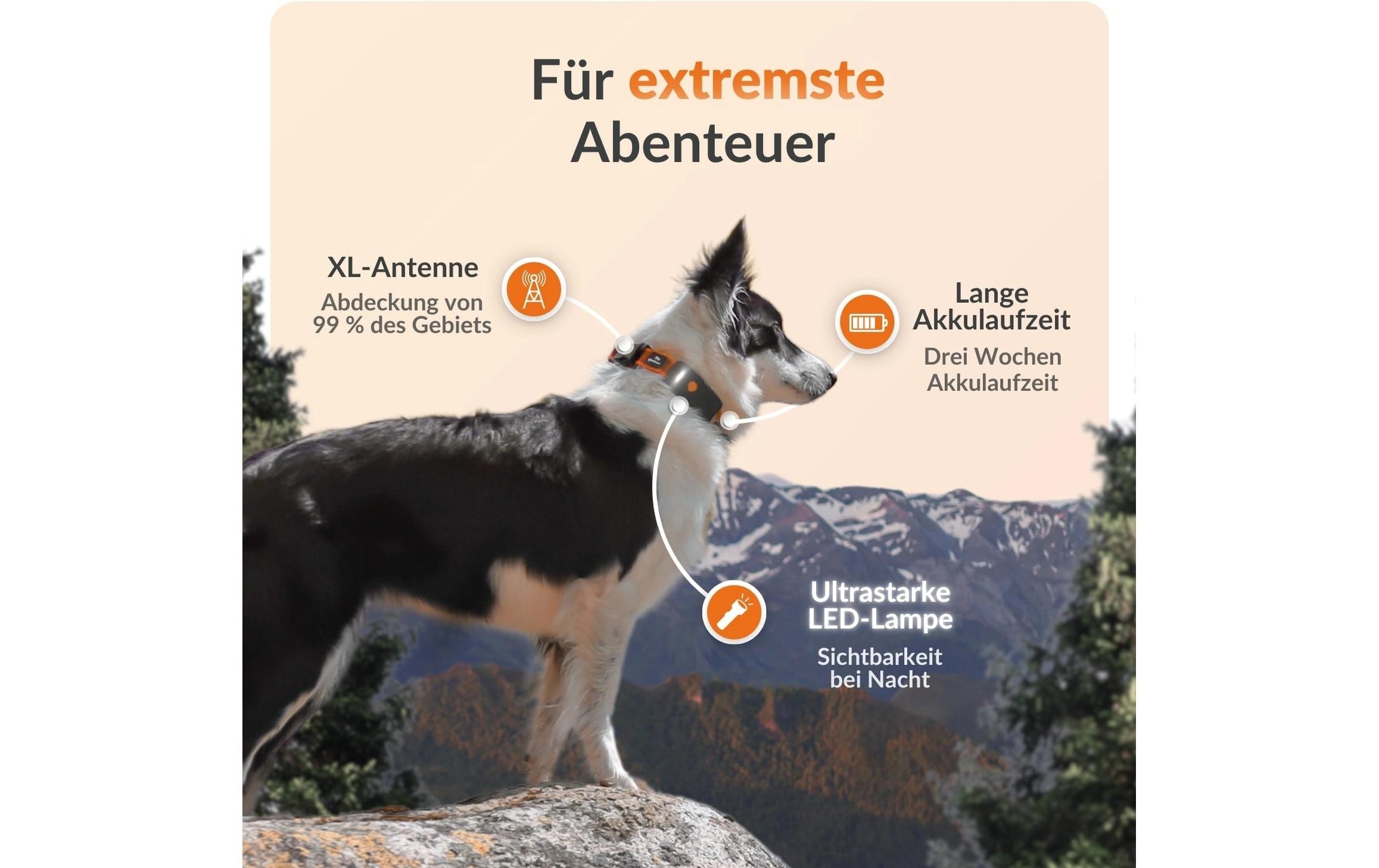 GPS-Hundetracker »Weenect für Hunde XT mit Halsband«