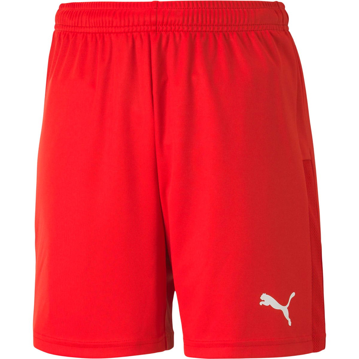 Puma teamGOAL 23 Knit Træningsshorts Børn