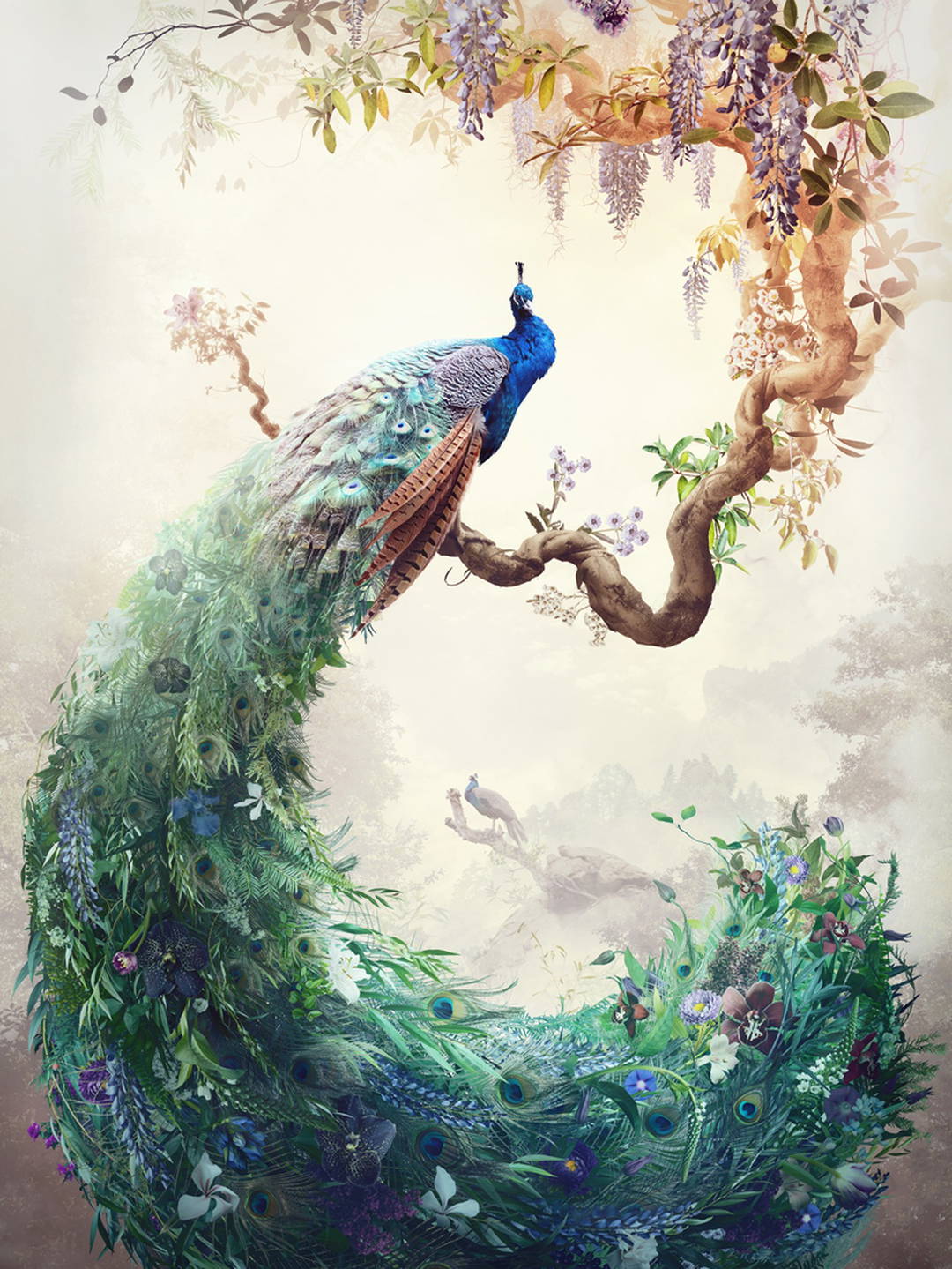 Clairvoyant by Jesper Krijgsman - Darlings - Small Limited Edition. 30x40.