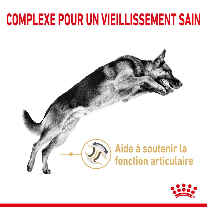 Royal Canin Berger allemand Adult 5+