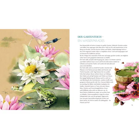 Coppenrath Verlag Inspirationen: Schmetterling, Hummel und Maikäfer (Bastin)