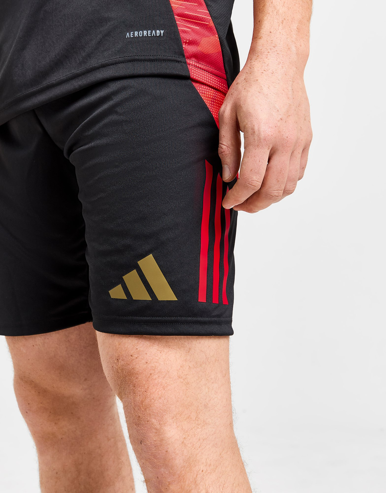 adidas Short d'entraînement Belgique Homme