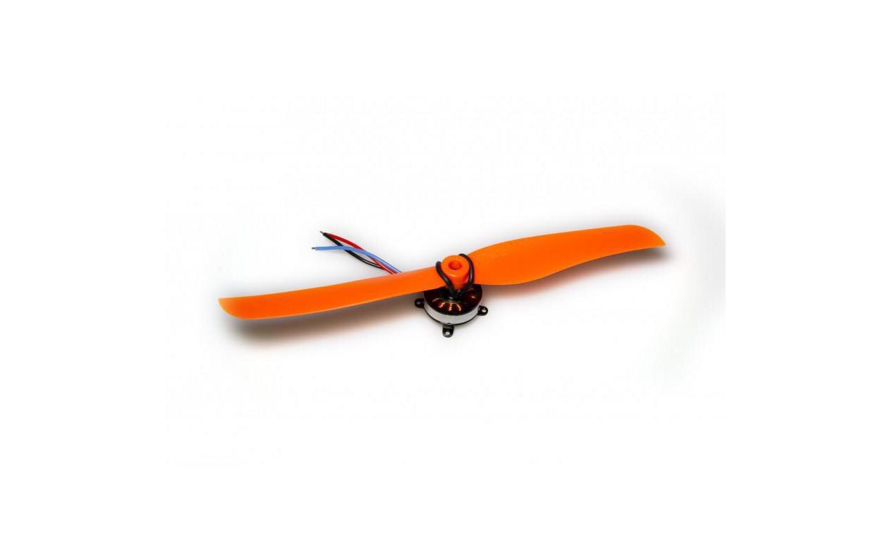 Propsaver Gummiringe 20 mm 10 StückO-Ring für Propsaver